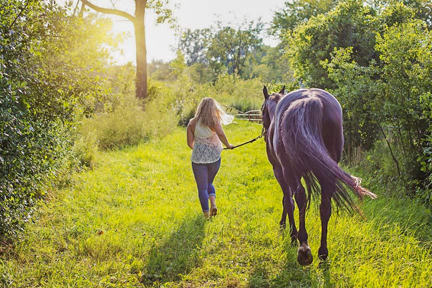 balade a cheval proche camping les truffieres