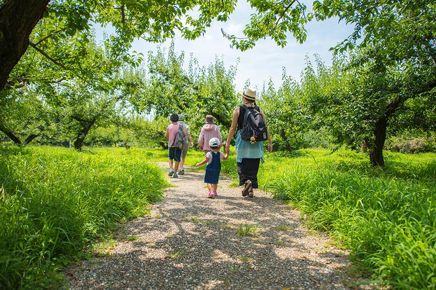 wandern in der drome