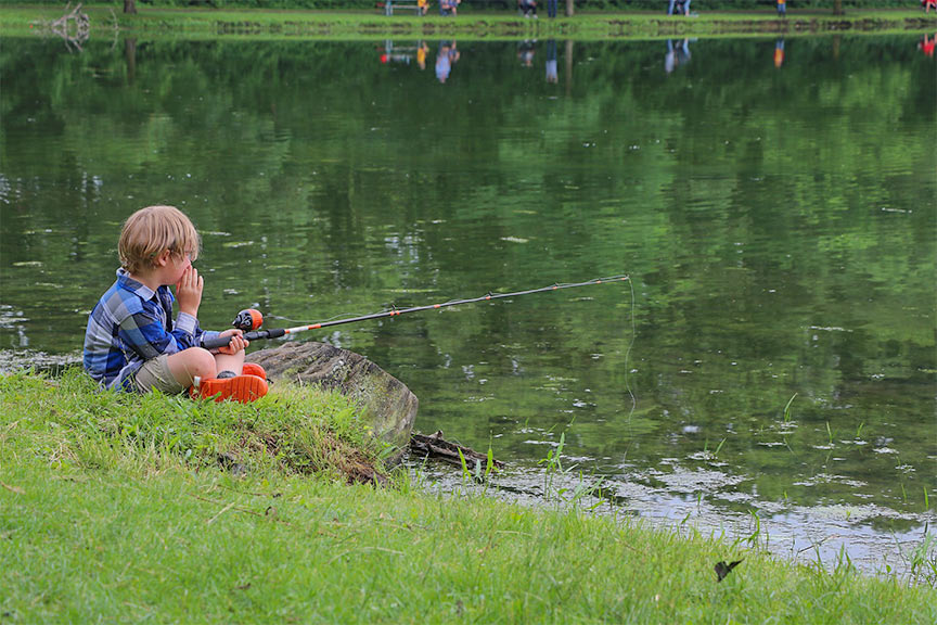 vissen op het meer