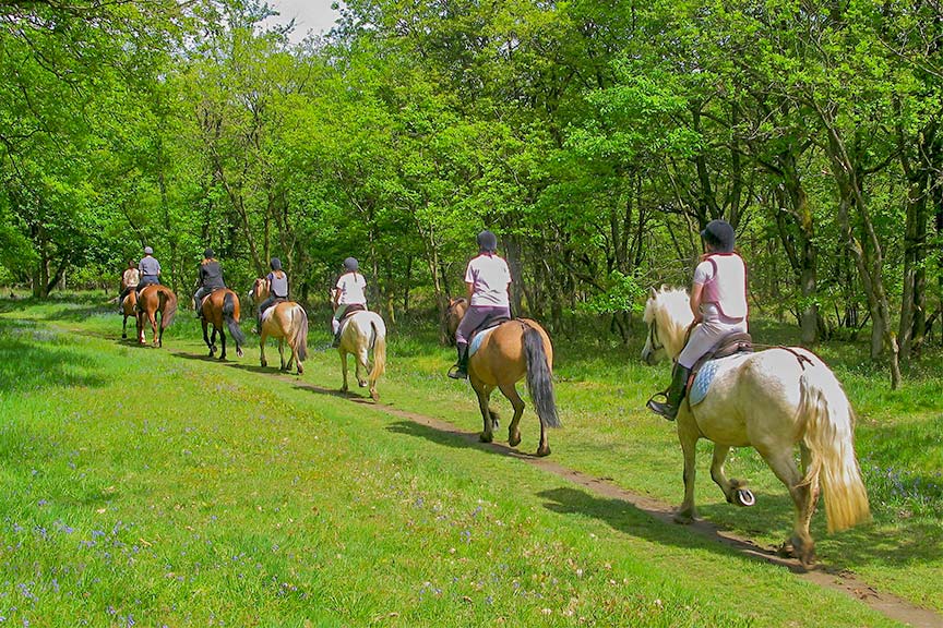 horseback riding in chamalet