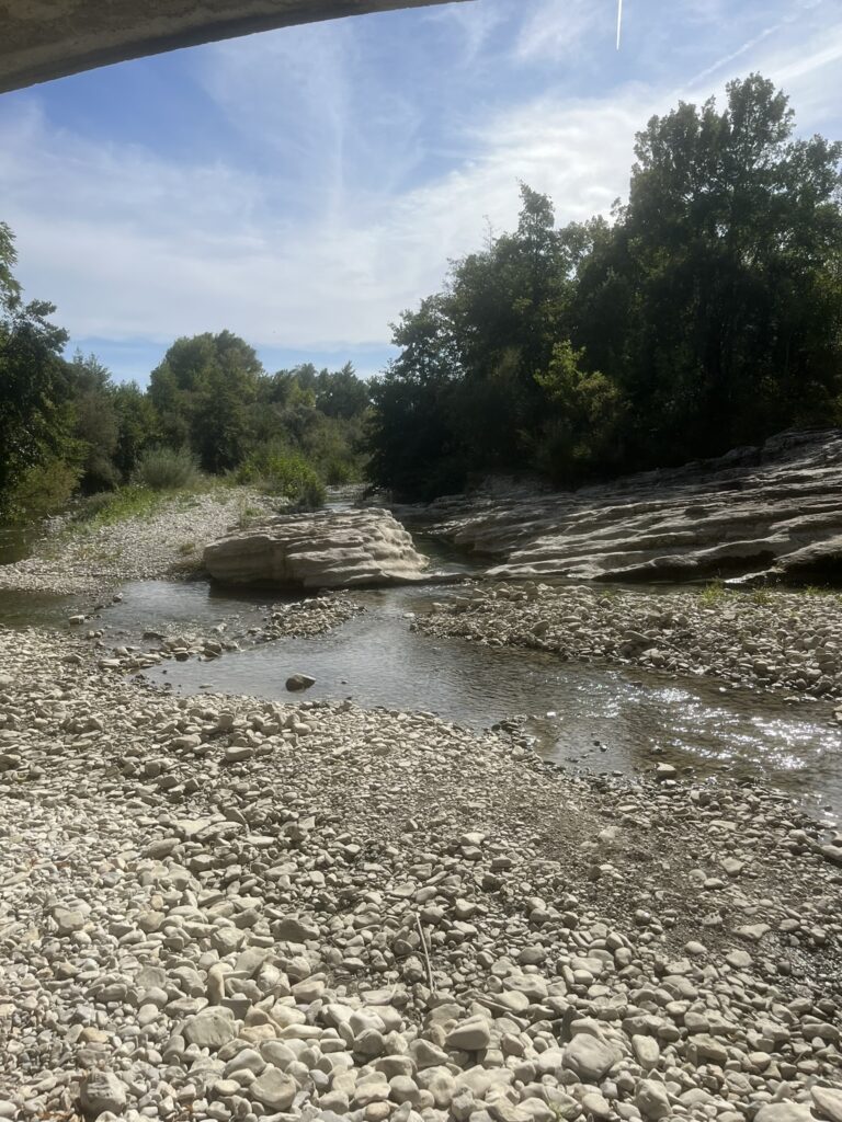IMG 3893